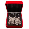 Silver Oxidized Hoop Jhumka Earrings in Red Box
